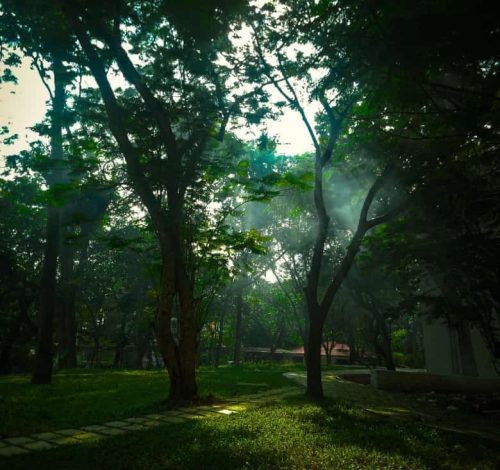 00e00bf0561b49c9836cc28281400403