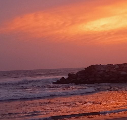 Photography stills and videos